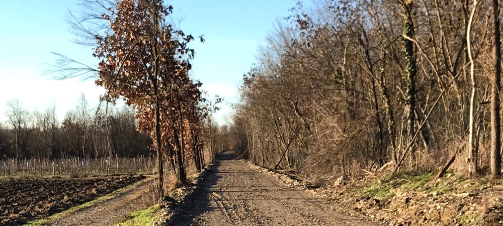 verso la conclusione dei lavori e la inaugurazione della Greenway | Towards the completion of the works and the inauguration of the Greenway.